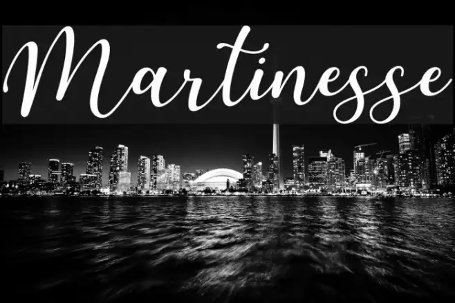 Martinesse Example 2