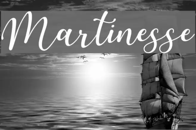 Martinesse Example 3