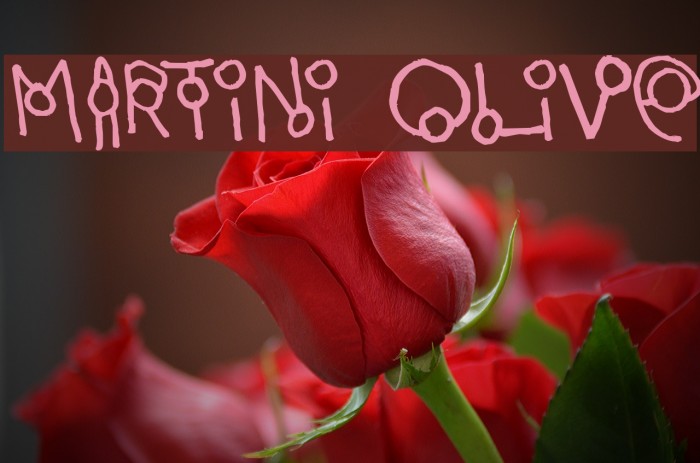 Martini Olive Font examples