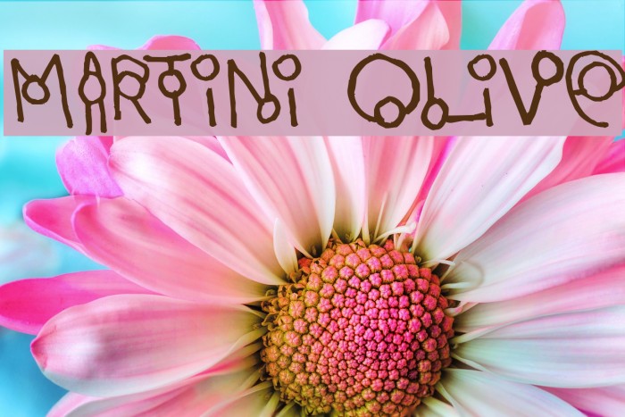 Martini Olive Font examples