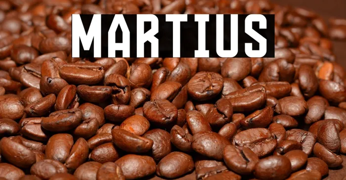 Martius Example 1