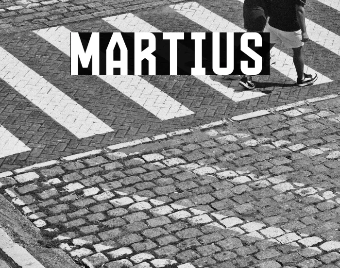 Martius Example 2