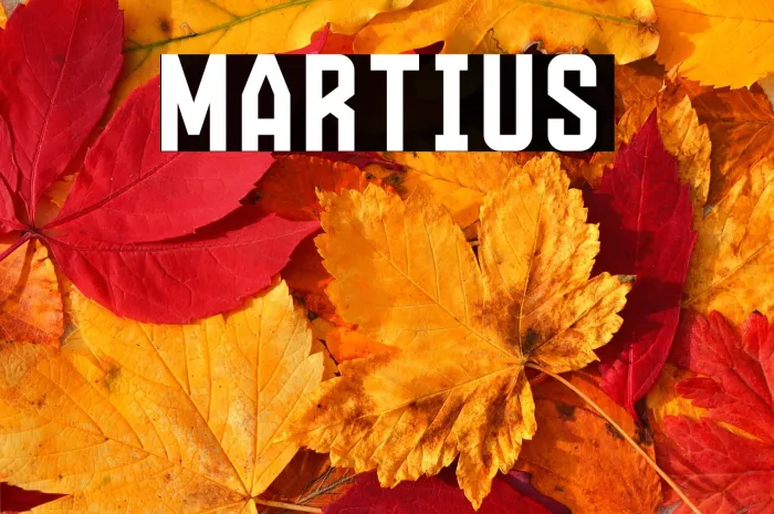 Martius Example 3