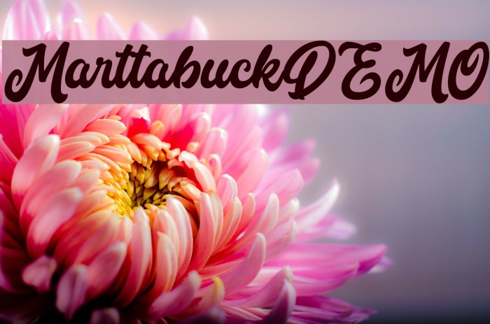 MarttabuckDEMO Font examples