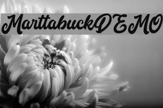 MarttabuckDEMO Example 2