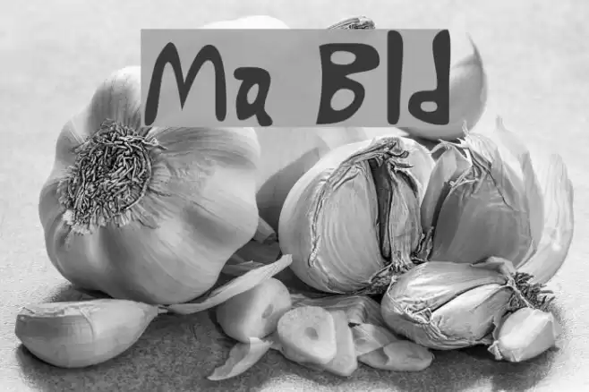 Marty Bold Font examples