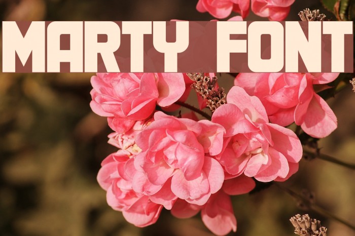 Marty Font examples
