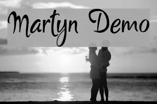 Martyn Demo Example 1