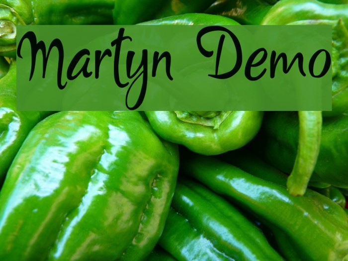 Martyn Demo Font examples