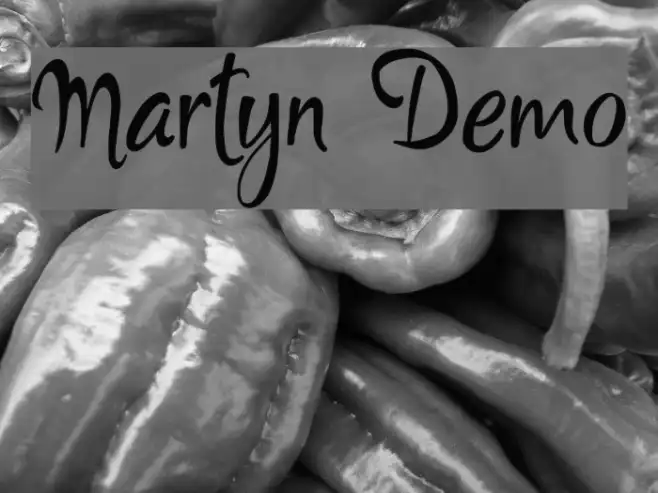 Martyn Demo Example 2