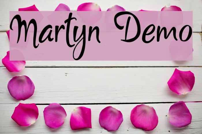 Martyn Demo Font examples