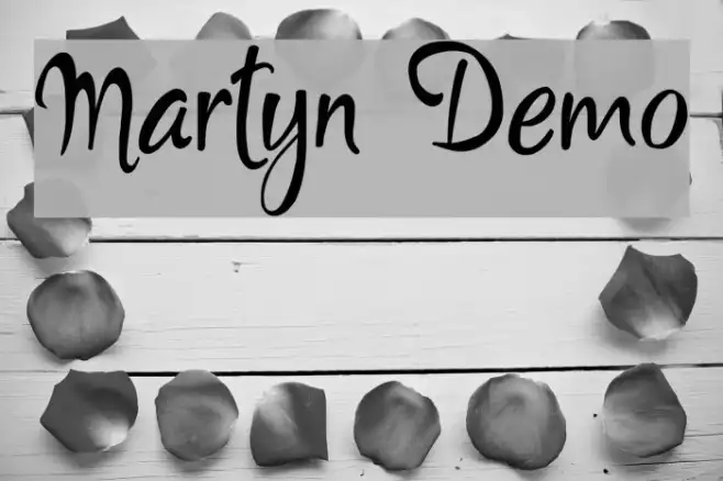 Martyn Demo Example 3