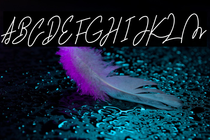 Martyna Signature Example 1