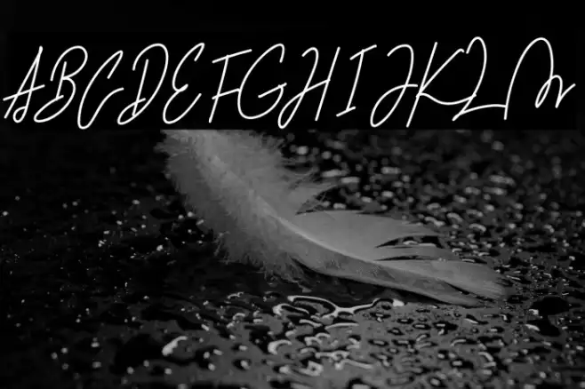 Martyna Signature Example 1
