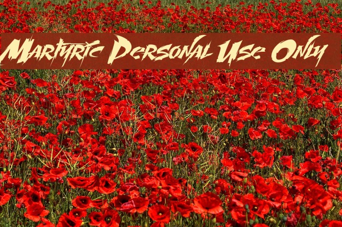 Martyric Personal Use Only Font examples