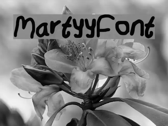 MartyyFont Font examples
