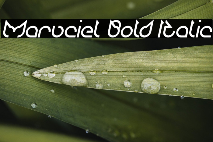 Maruciel Bold Italic Example 3