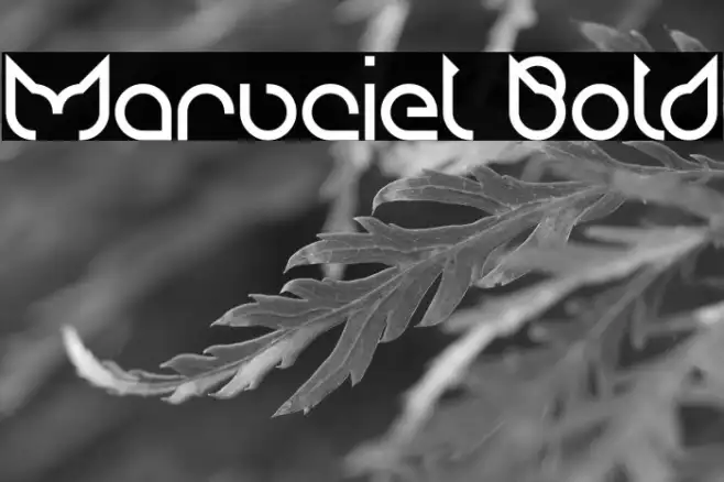 Maruciel Bold Example 2