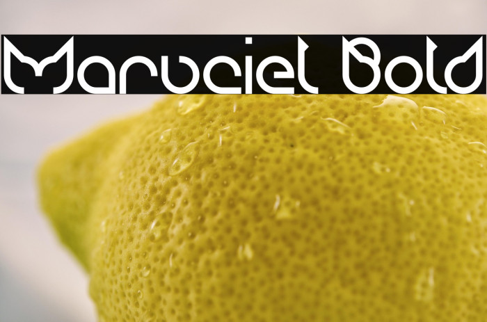 Maruciel Bold Example 3