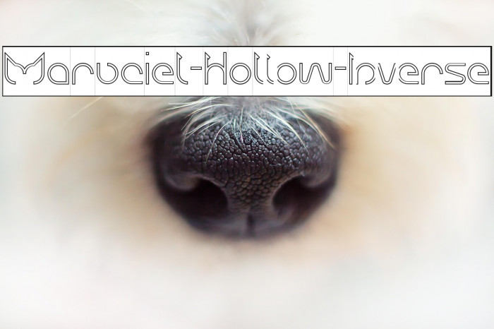 Maruciel-Hollow-Inverse Example 2