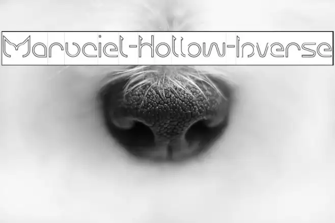 Maruciel-Hollow-Inverse Example 2