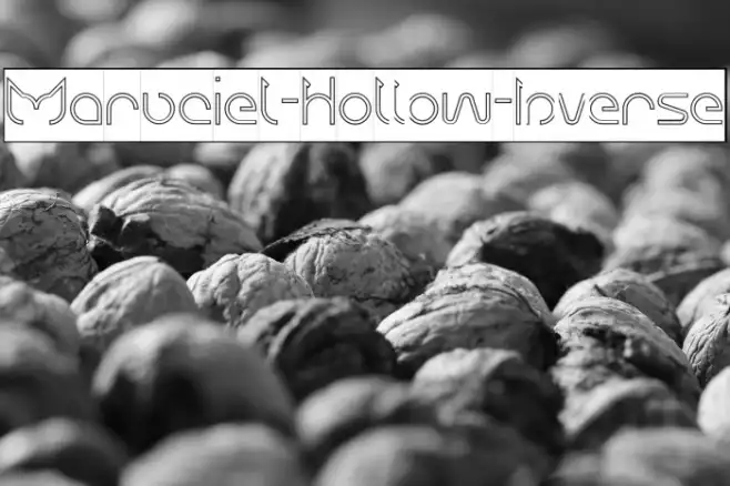 Maruciel-Hollow-Inverse Example 3