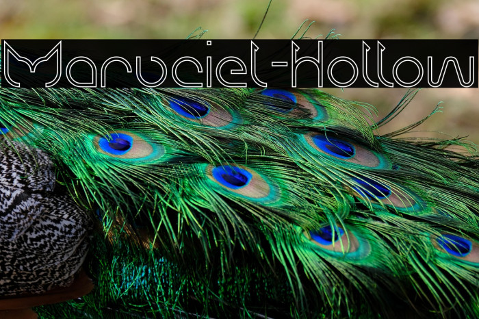 Maruciel-Hollow Example 3