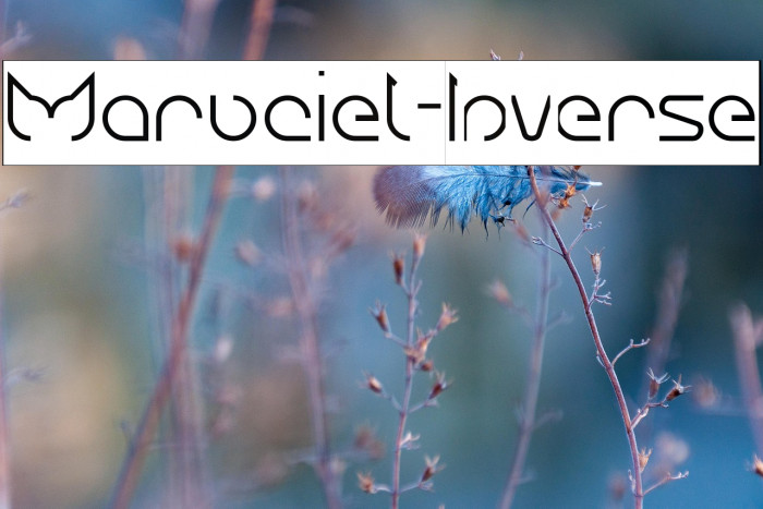 Maruciel-Inverse Example 2