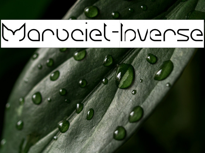 Maruciel-Inverse Example 3