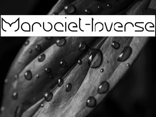 Maruciel-Inverse Font examples