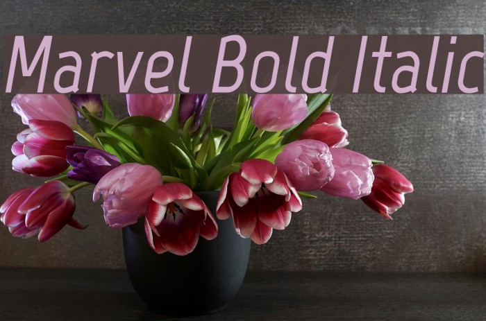 Marvel Bold Italic Font examples