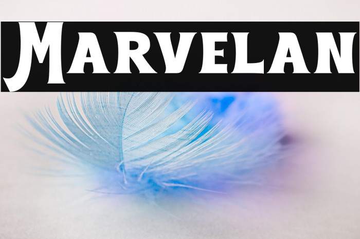 Marvelan Example 1