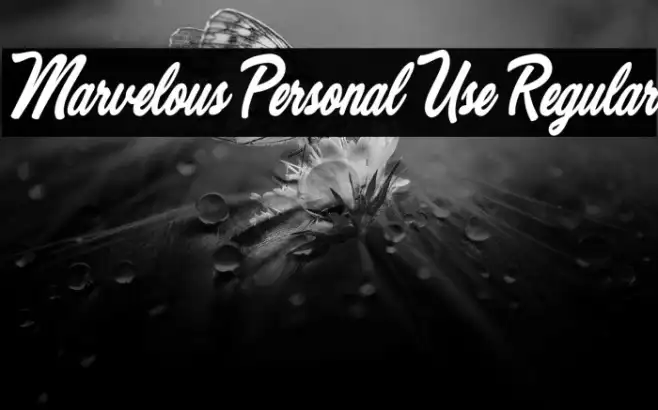 Marvelous Personal Use Regular Example 1