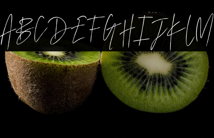 Marvelous Photograph Script Reg Example 1