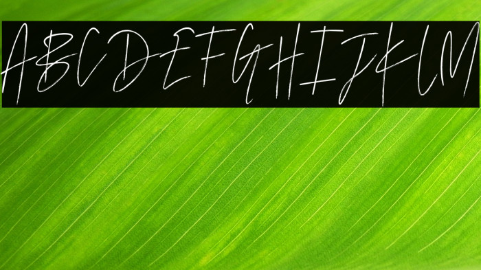 Marvelous Photograph Script Reg Example 2