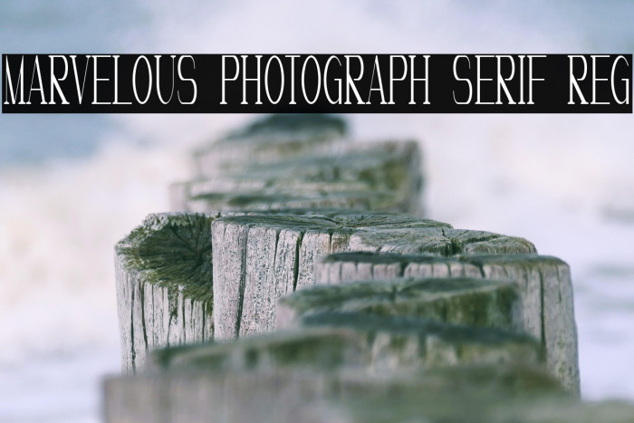 Marvelous Photograph Serif Reg Example 1