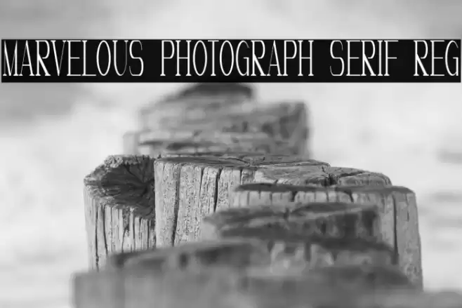 Marvelous Photograph Serif Reg Font examples