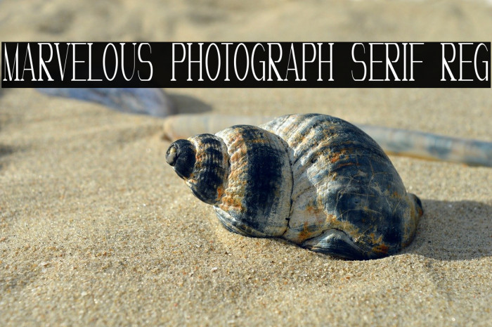 Marvelous Photograph Serif Reg Example 3