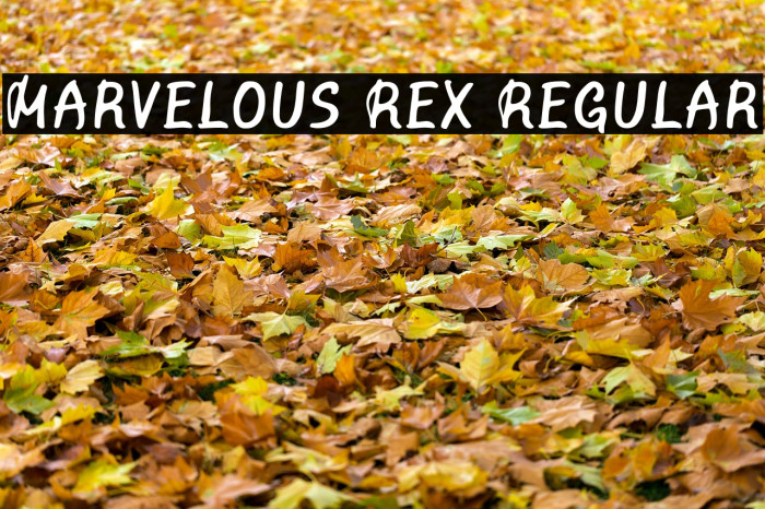 Marvelous Rex Regular Font examples