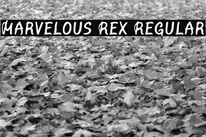 Marvelous Rex Regular Example 1