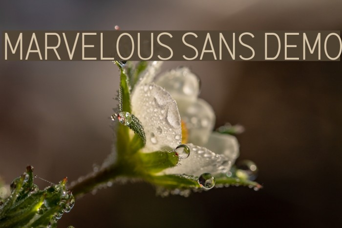 Marvelous Sans Demo لخطوط تنزيل examples