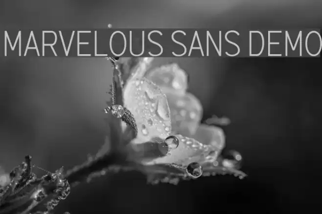 Marvelous Sans Demo Schriftart examples