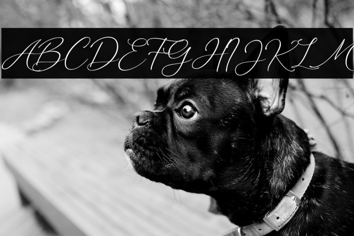 Marvelous Script Demo Example 2