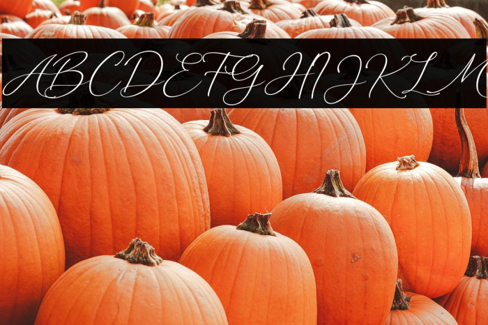 Marvelous Script Demo Example 3