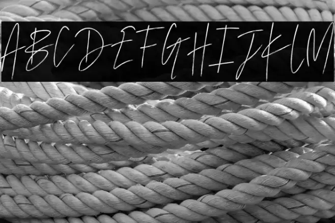 MarvelousPhotographScript-Reg Font examples