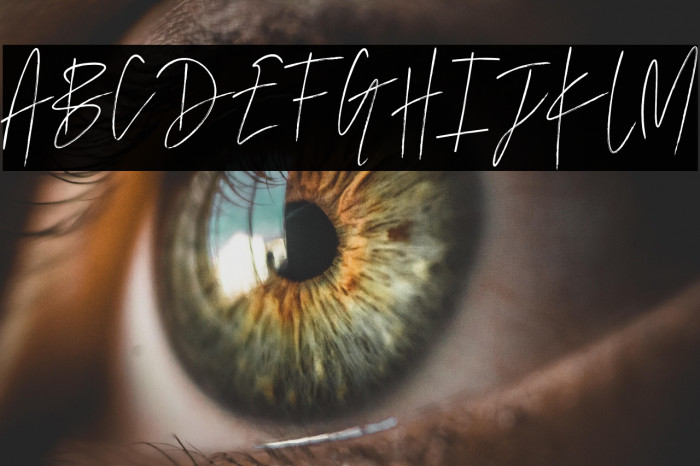 MarvelousPhotographScript-Reg Example 3