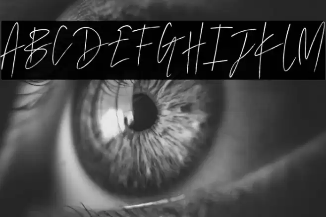 MarvelousPhotographScript-Reg Font examples