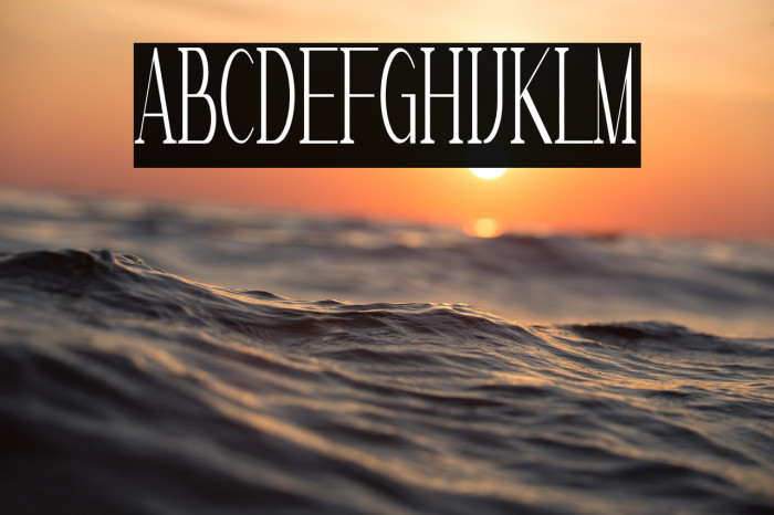 MarvelousPhotographSerif-Reg Example 1