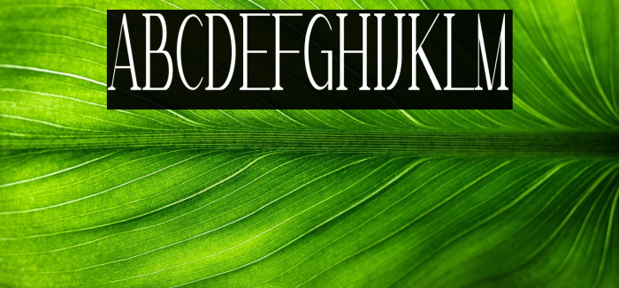 MarvelousPhotographSerif-Reg Example 2