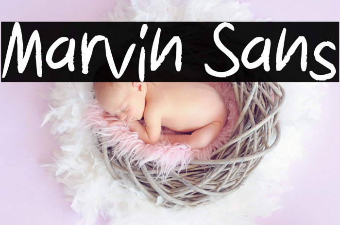 Marvin Sans Example 1